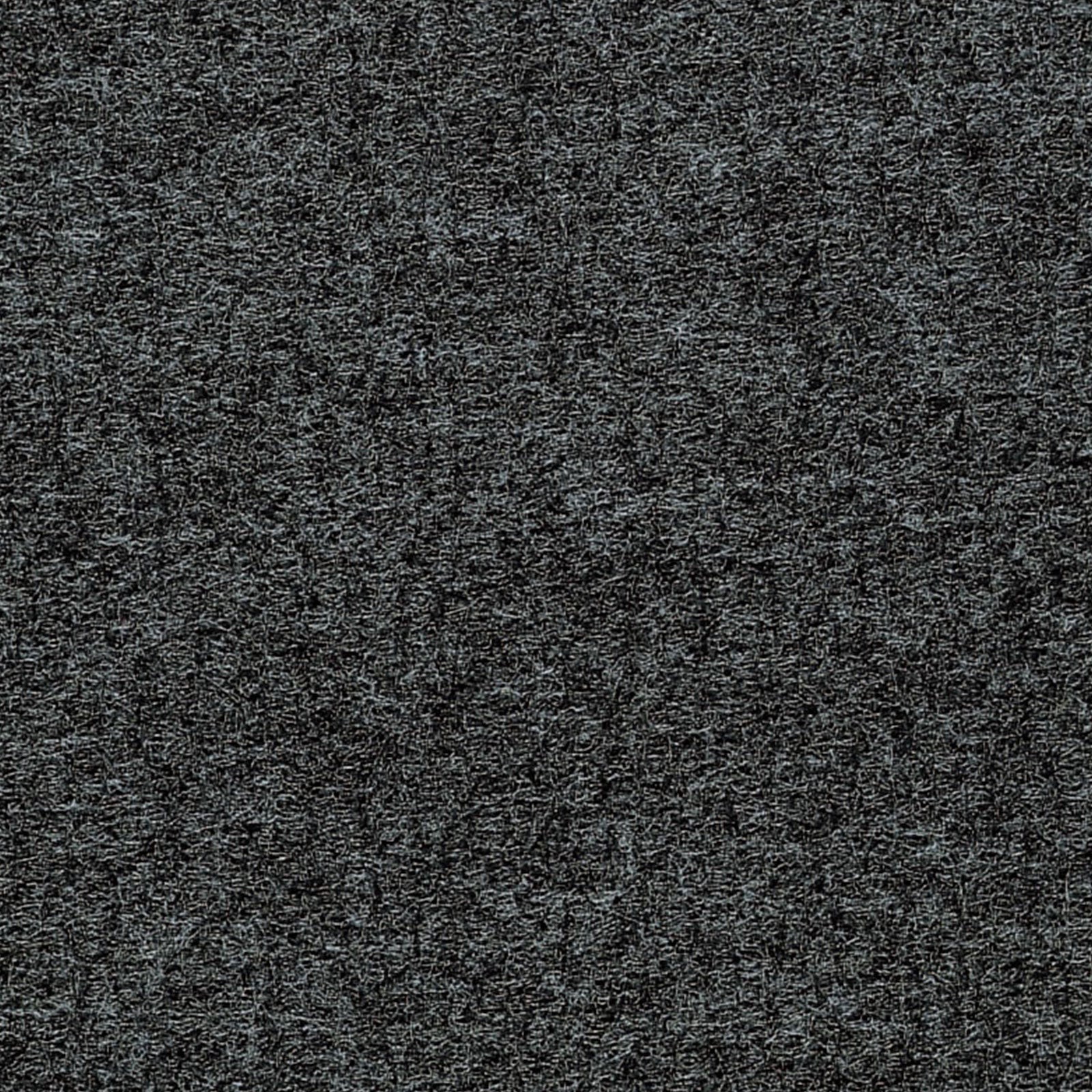 ねこ3点 292198.jpg