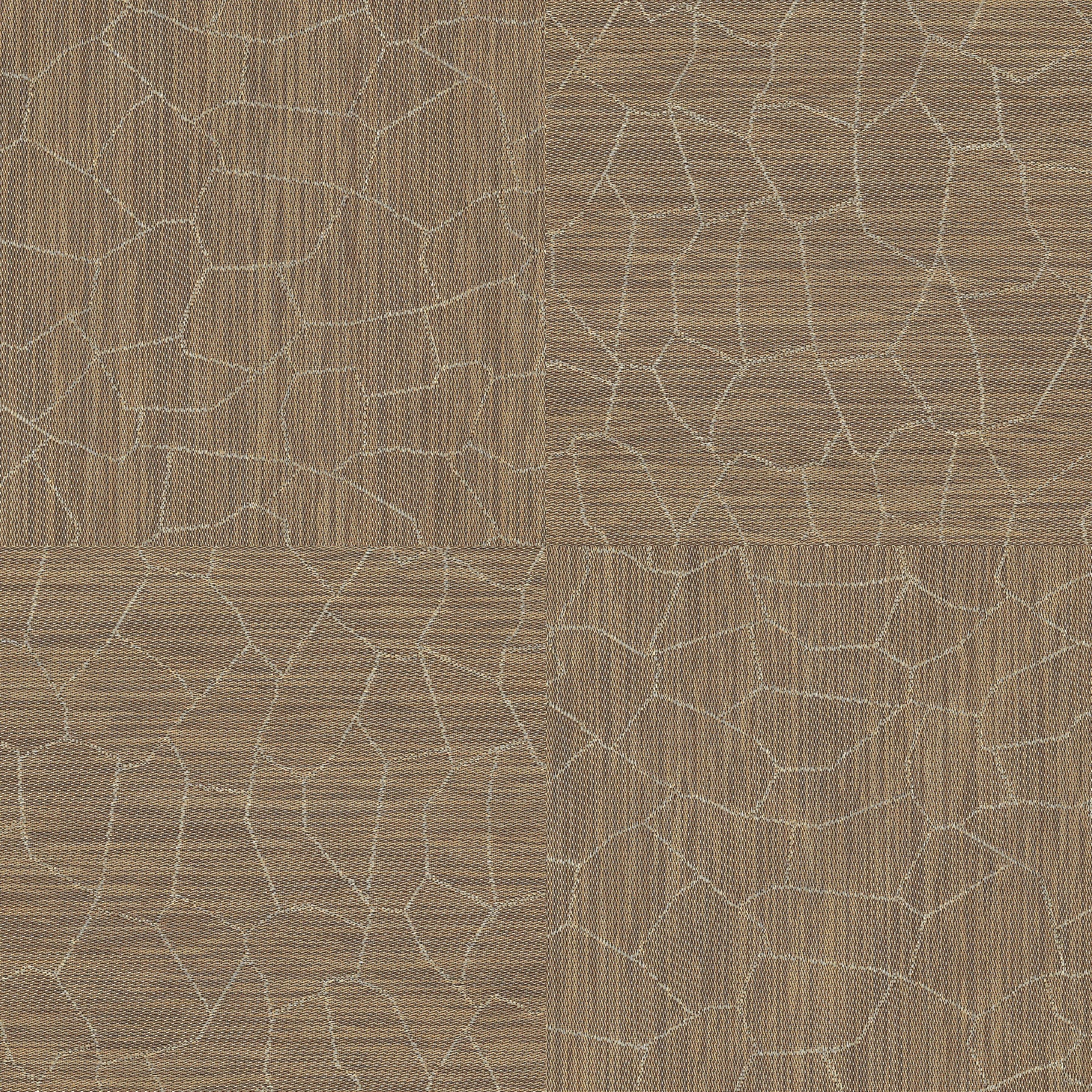 arid CRACKED EARTH