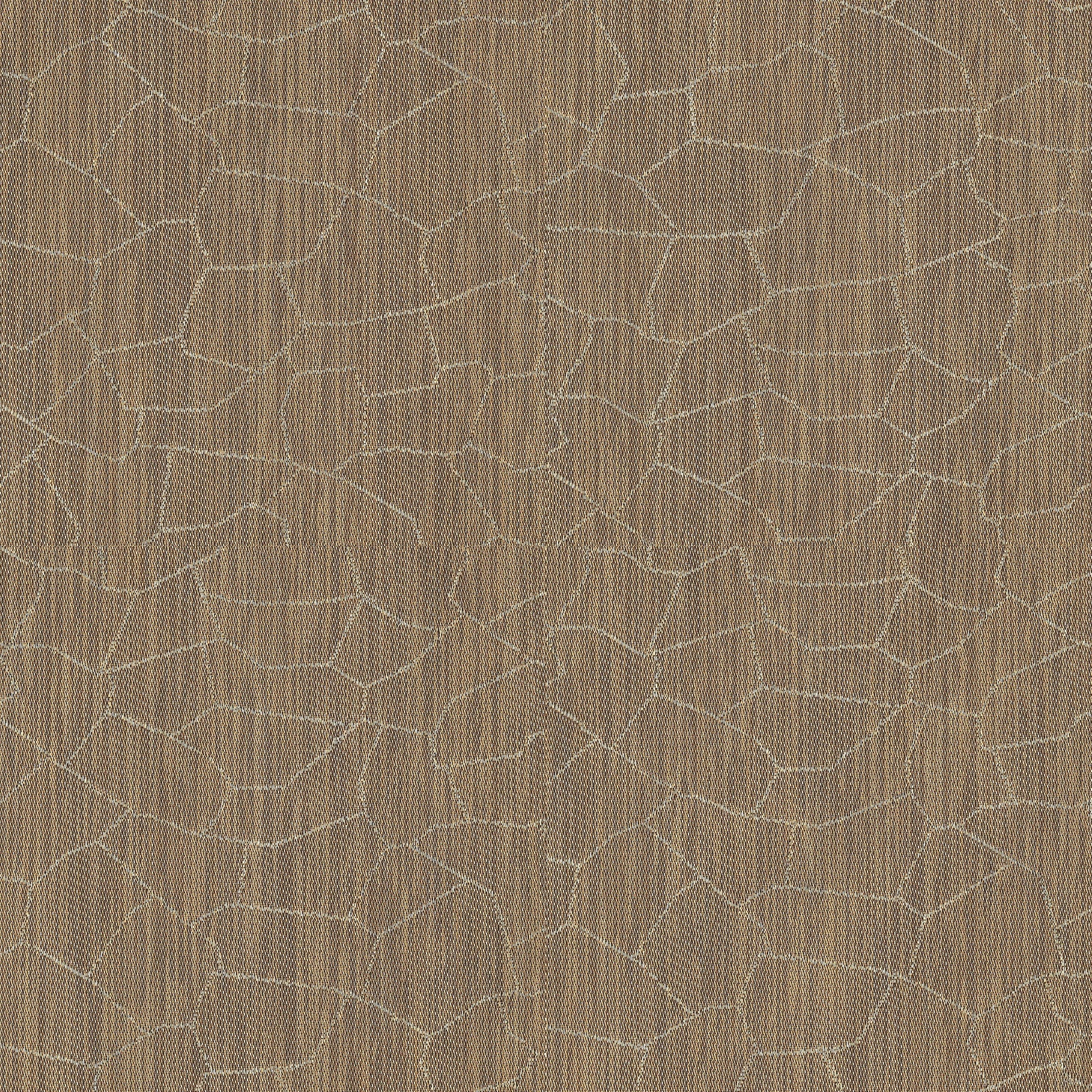 arid CRACKED EARTH