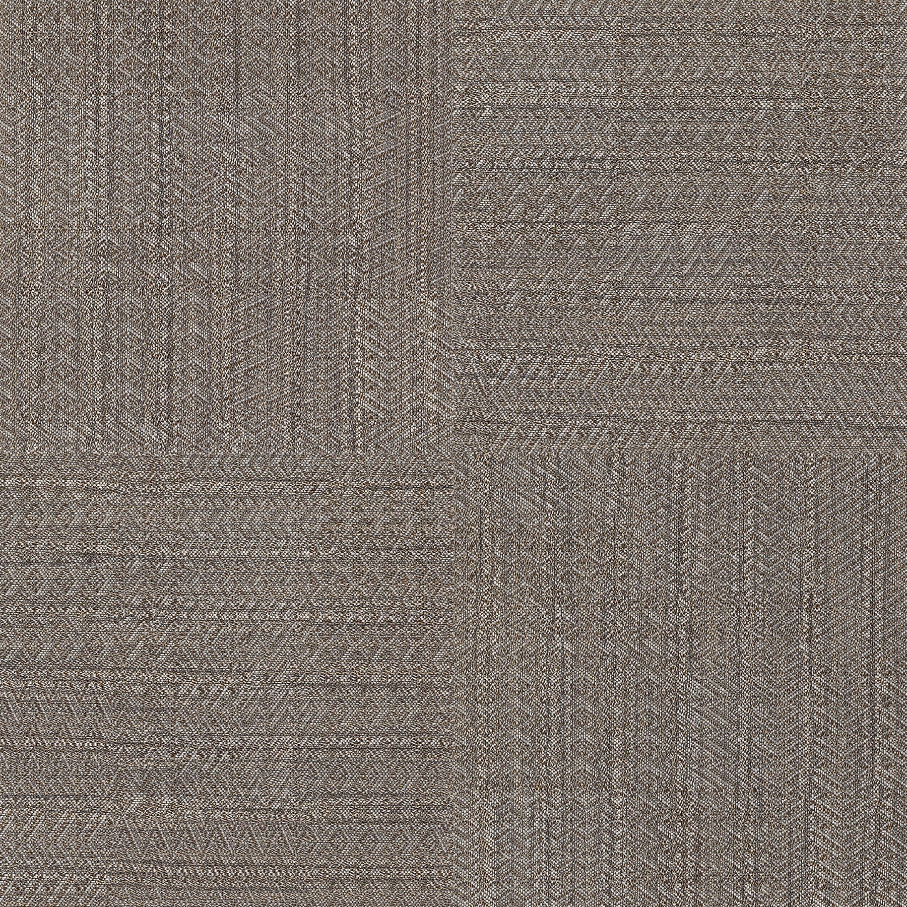 morionbrown LUSTRE