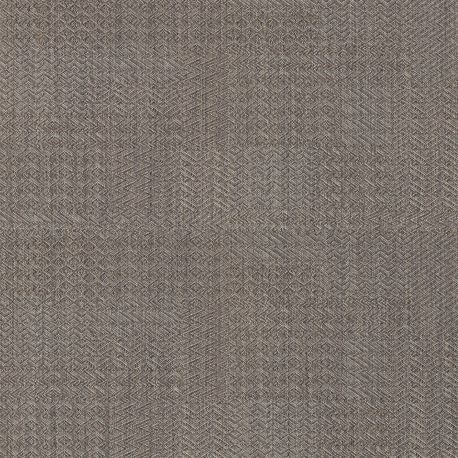 morionbrown LUSTRE
