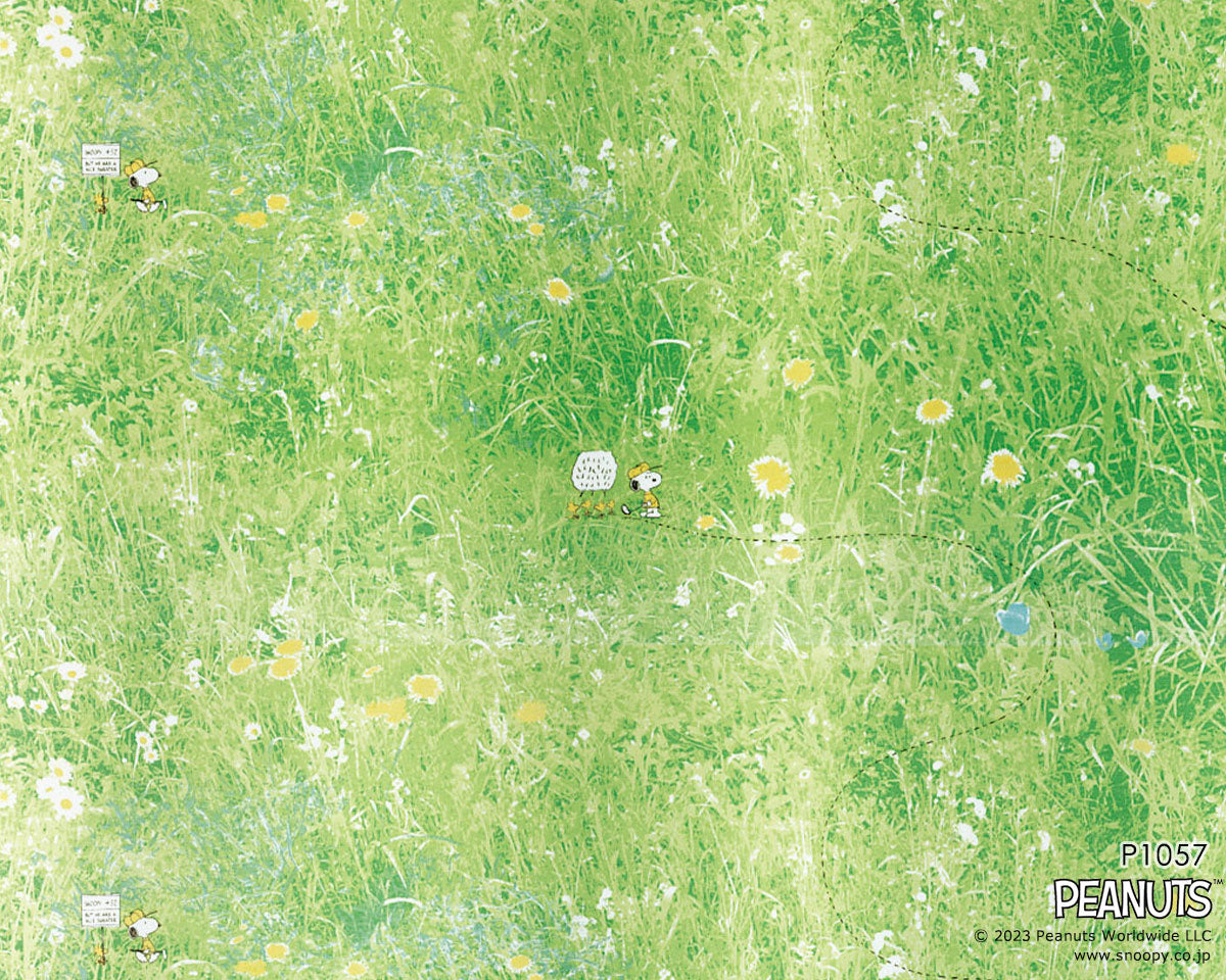 P-1057(Field voile/フィールドボイル)
