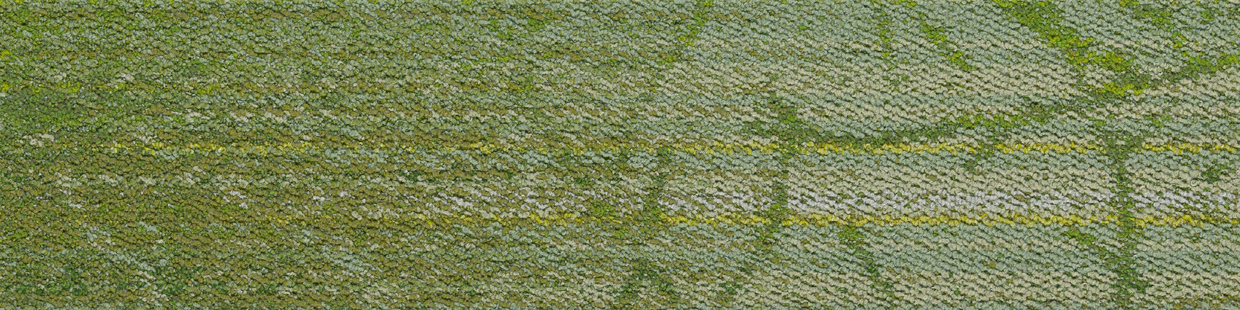 iD-1526EP(iD-1500EP Cork Tree)