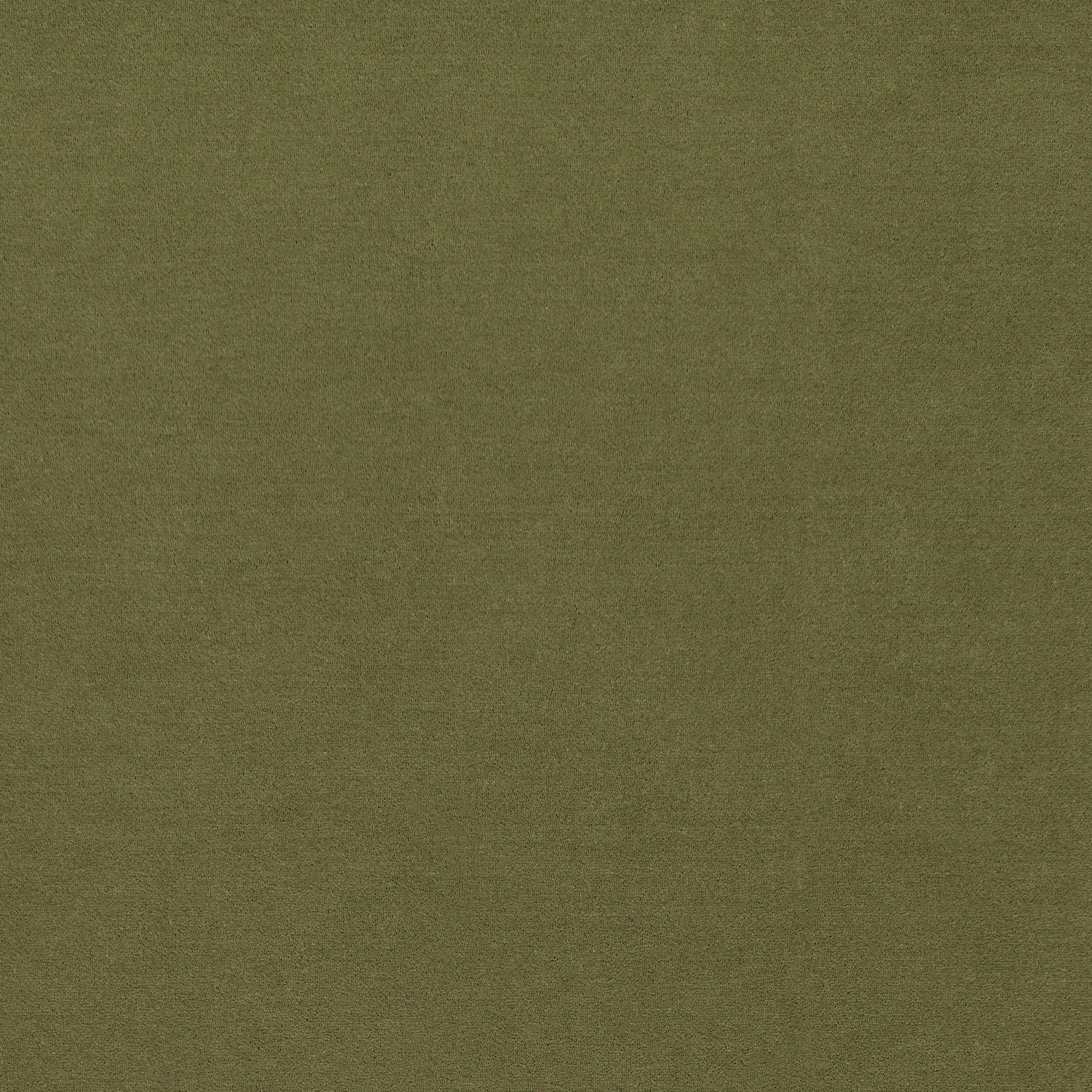 WR-25(ウールレックス WOOL REX)