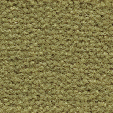 WR-25(ウールレックス WOOL REX)