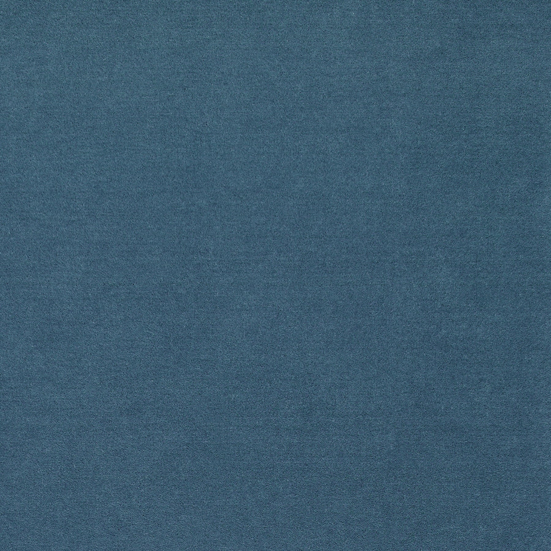 WR-29(ウールレックス WOOL REX)