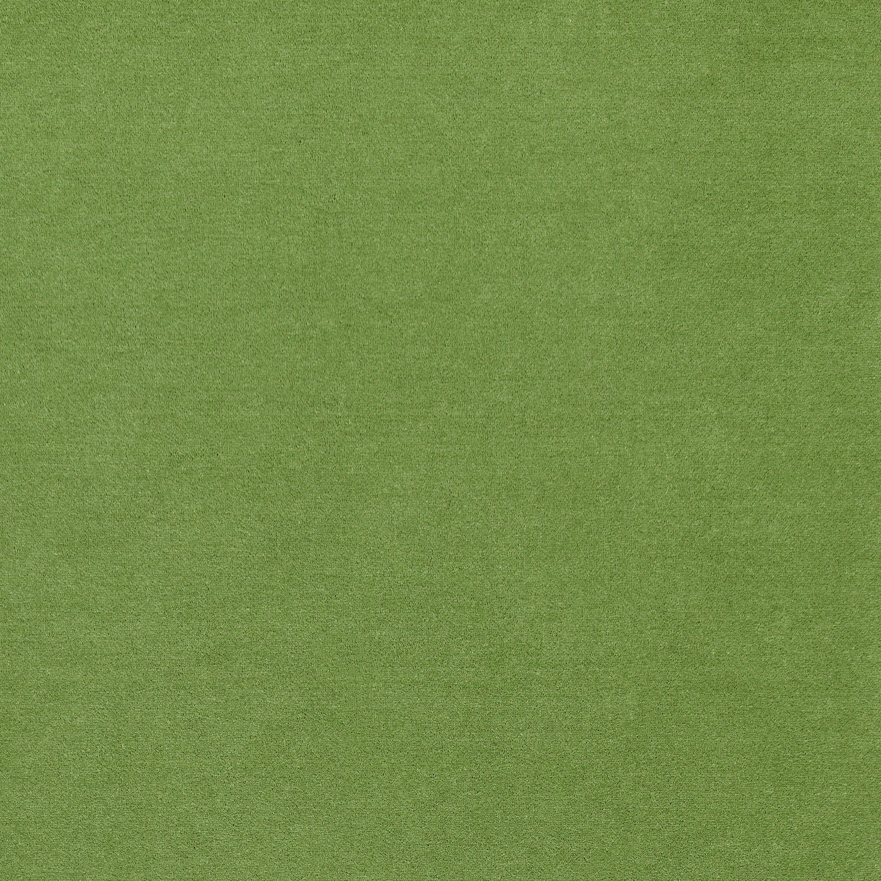 WR-33(ウールレックス WOOL REX)
