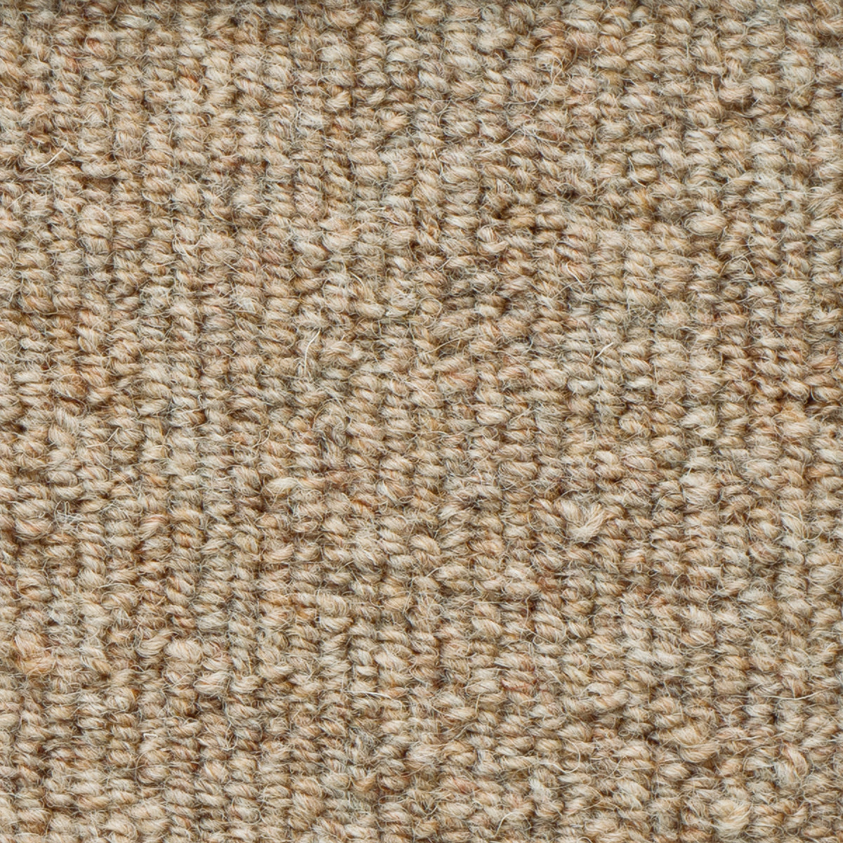 WS-105(ウールスコット プレーン WOOL SCOT PLAIN)