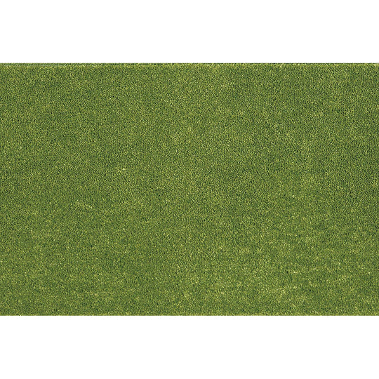 SOLIDY / ソリッディー (#4 グリーン)