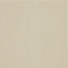 ソフトフィール(#1 アイボリー)