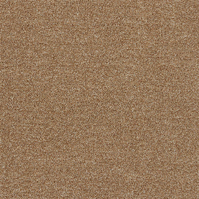 ソフトフィール(#1 ベージュ)