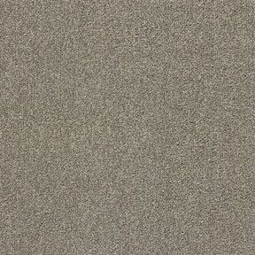 ソフトフィール(#9 グレー)