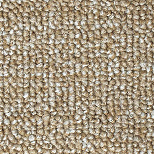 MOLTO / モルト (MO-120 マロン)