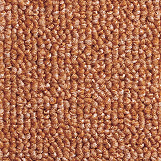 MOLTO / モルト (MO-123 アプリコット)