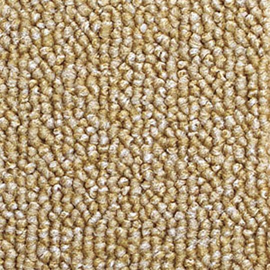 MOLTO / モルト (MO-147 ビスケット)