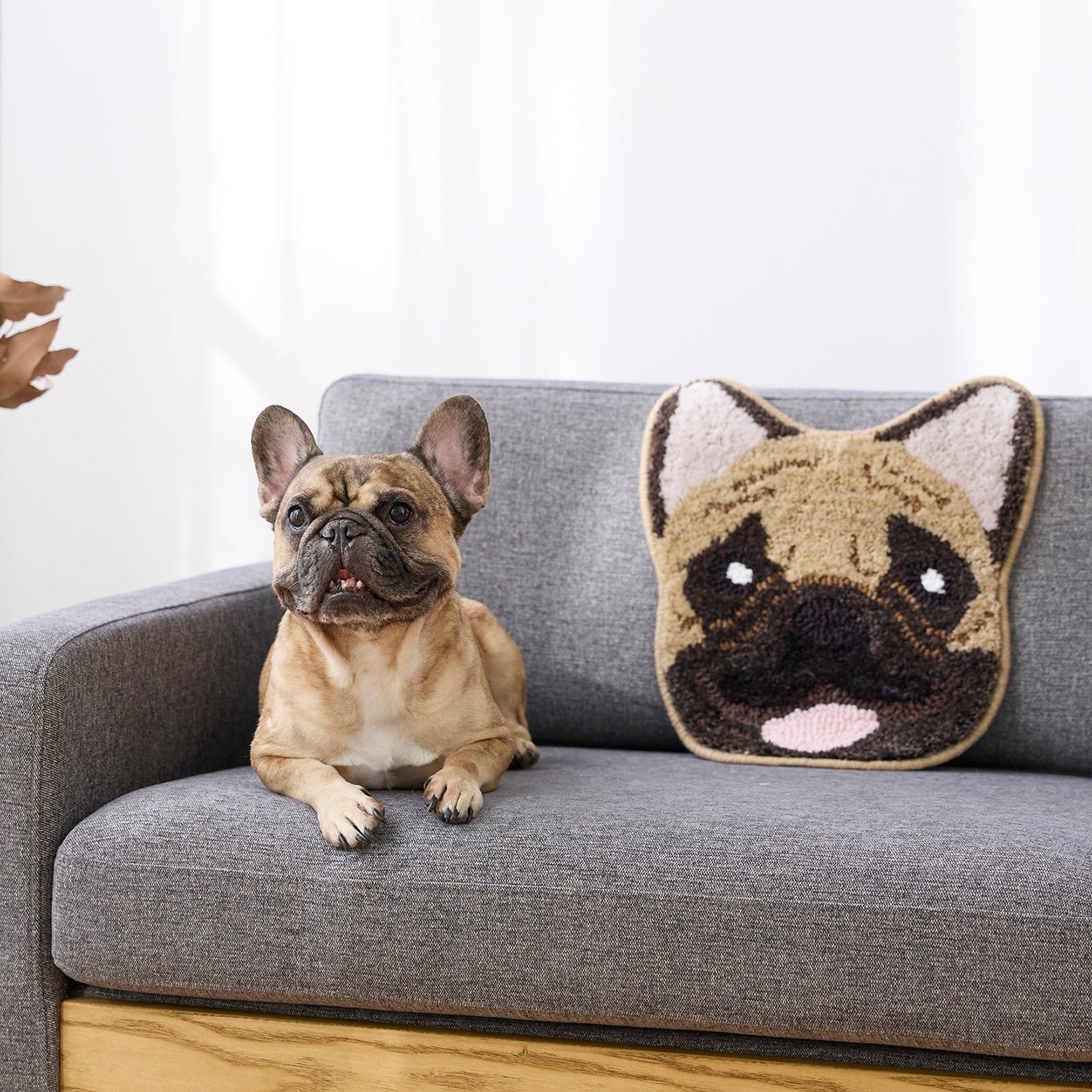 INUKAO / イヌカオ(#70 BMフレブル)