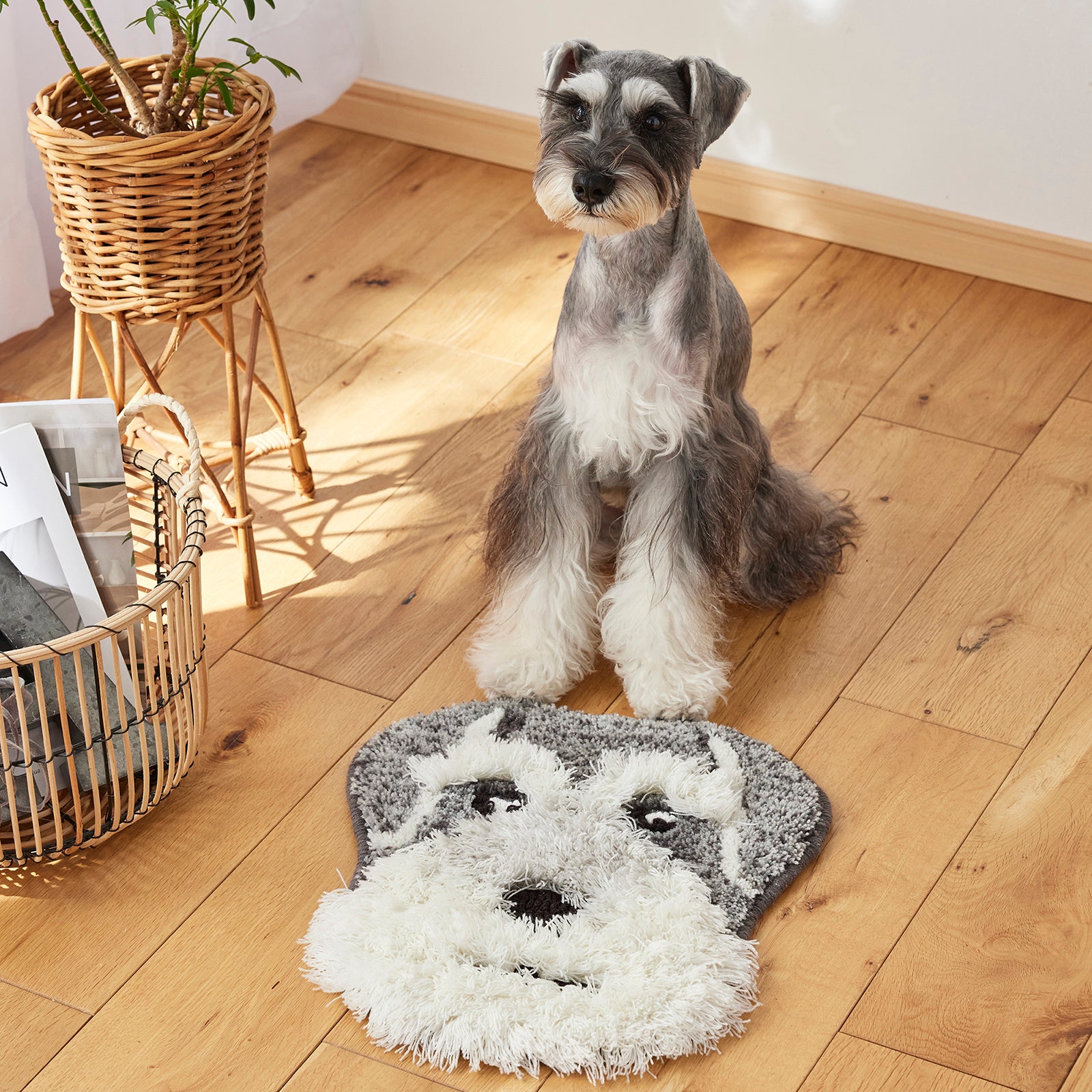 INUKAO / イヌカオ(#77 BSシュナウザー)