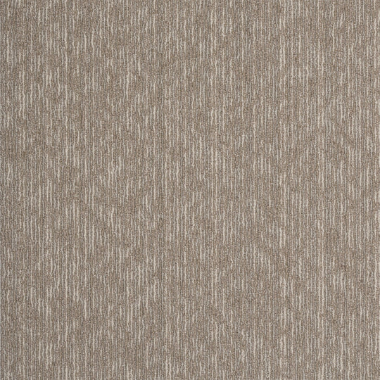 EX-1004(EX-1000 REFLECTOR)