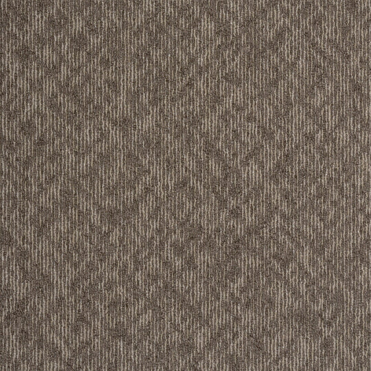 EX-1005(EX-1000 REFLECTOR)