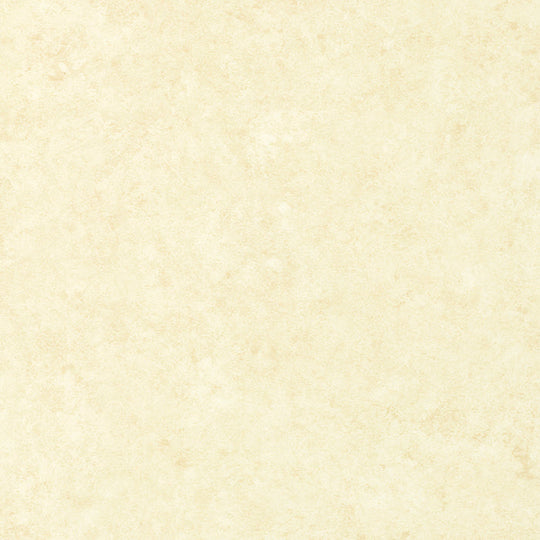 SFPC-8004(スミフォーム オプセルCT)