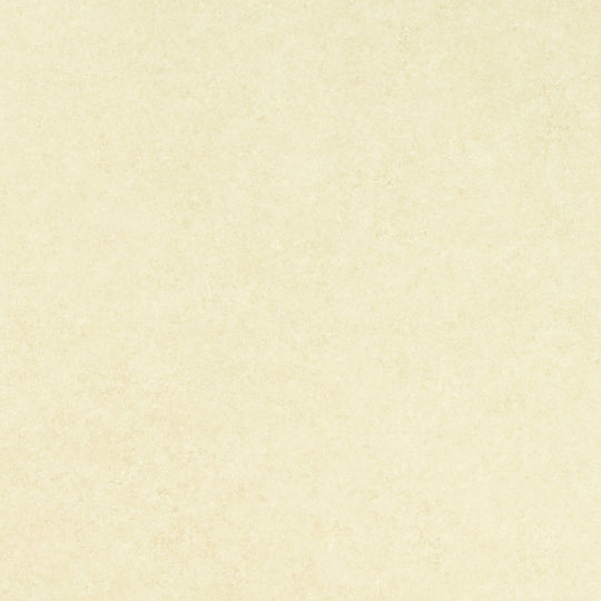 SOPC-8004(スミリウム オプセルCT)