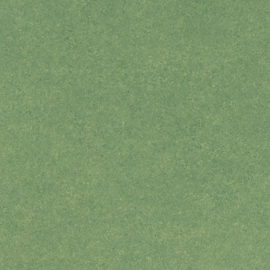 SOPC-8015(スミリウム オプセルCT)