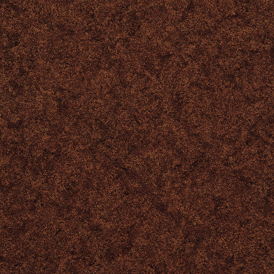 SPMC-1110(スミリウム パティオCT)