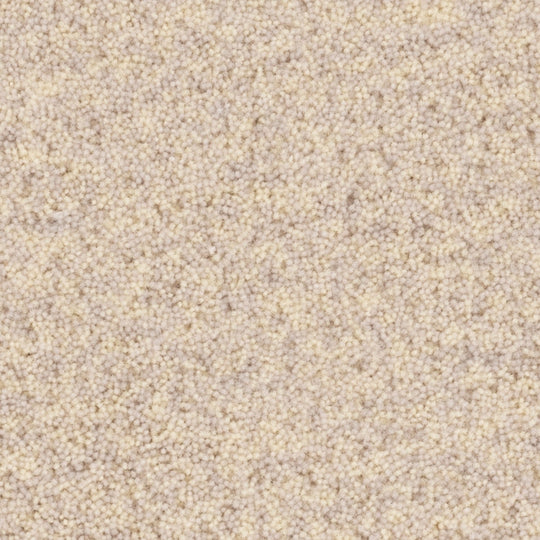 YUTA / ユタ( #1エクリュ )