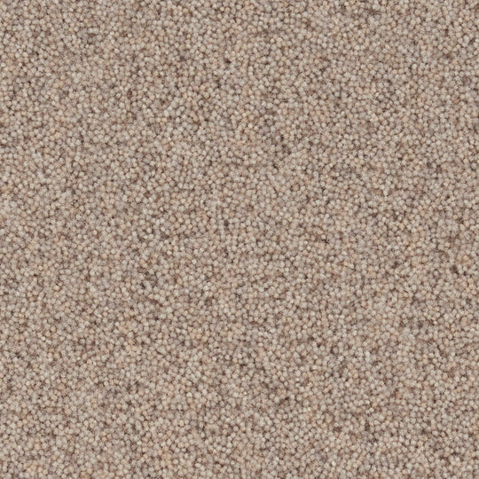 YUTA / ユタ( #2グレージュ )