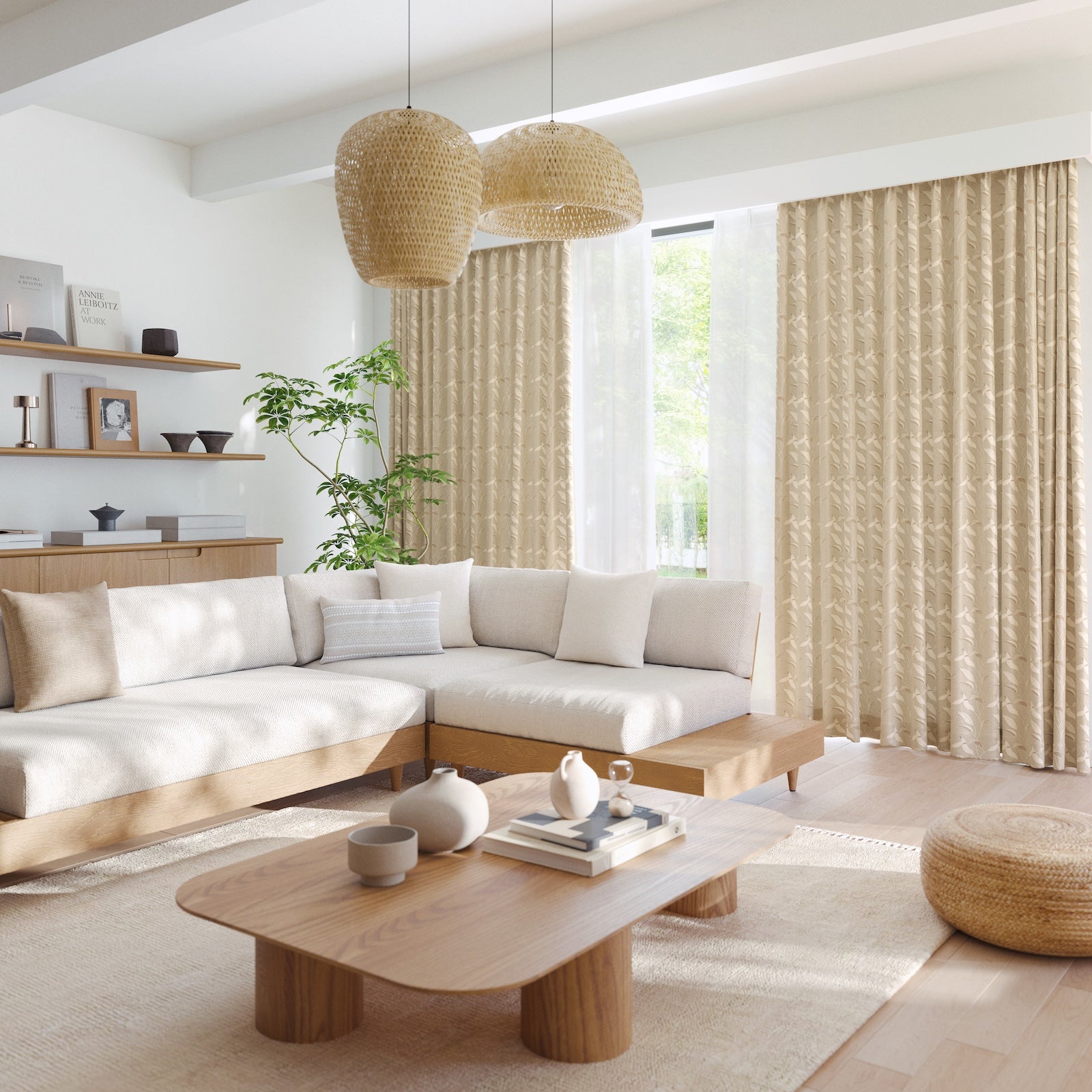 D-8081 Naturalの画像です