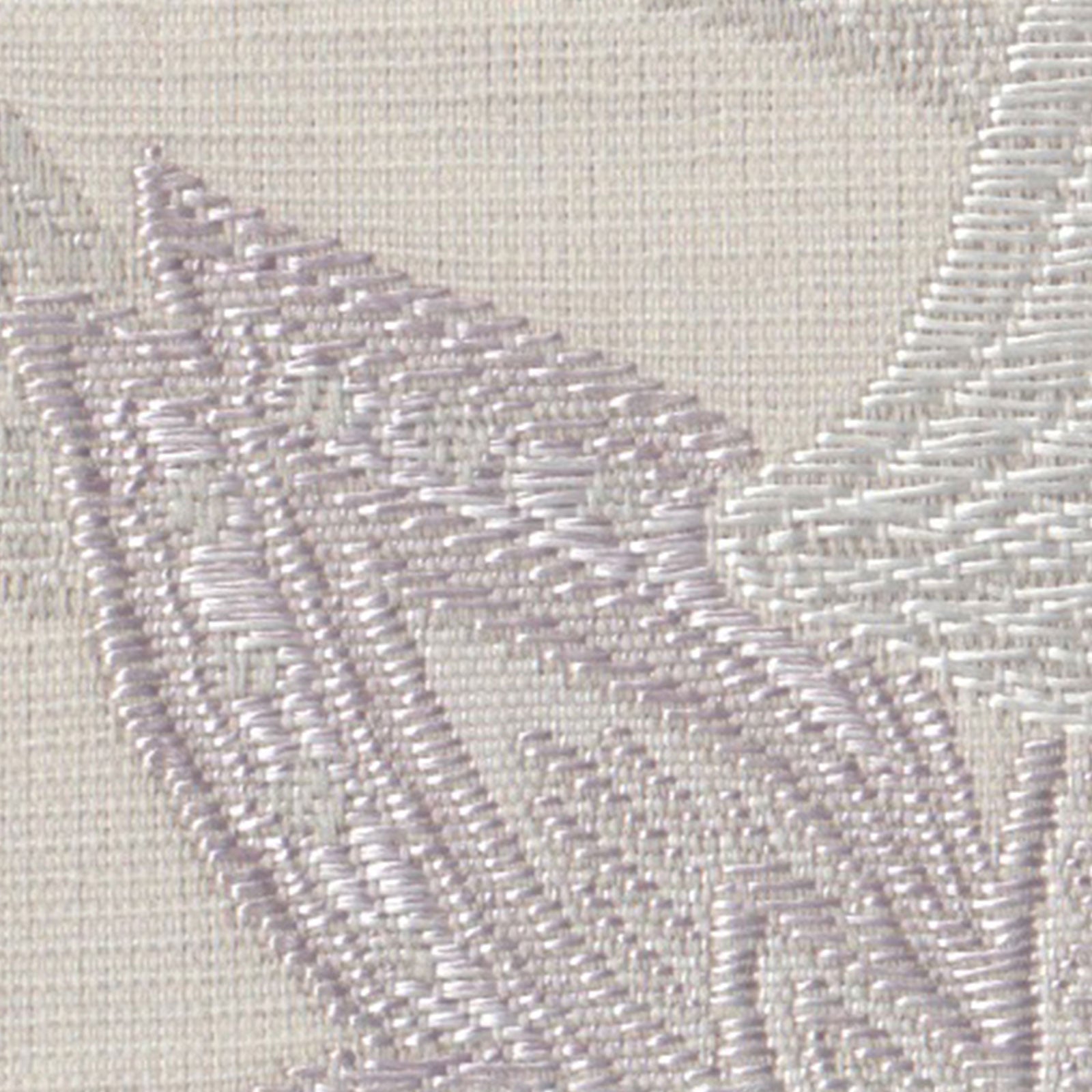 D-8096 mila schonの画像です