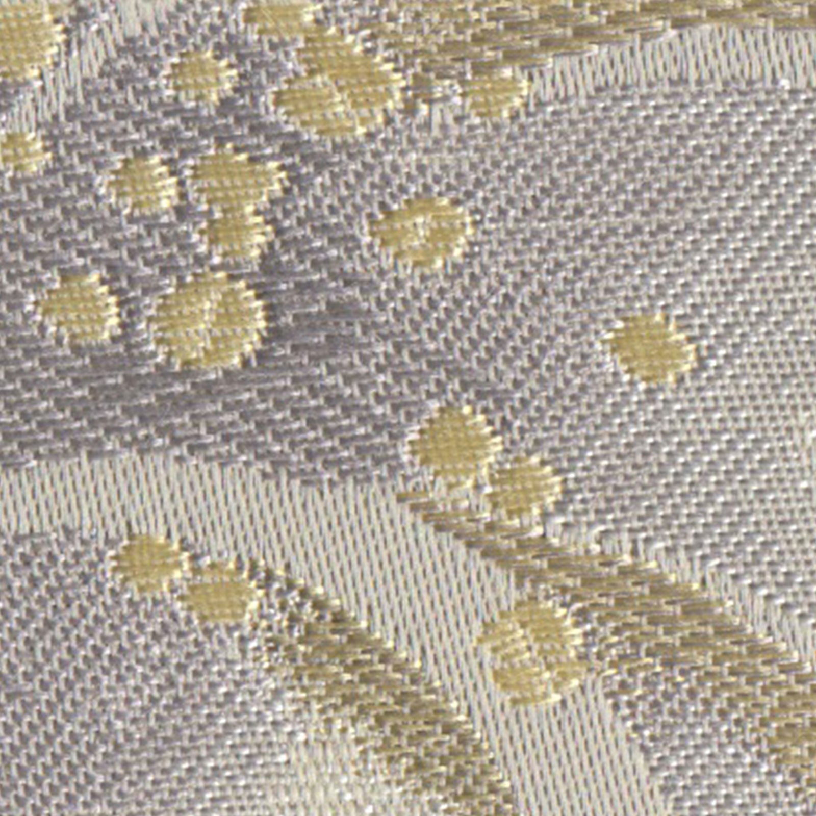 D-8116 mila schonの画像です