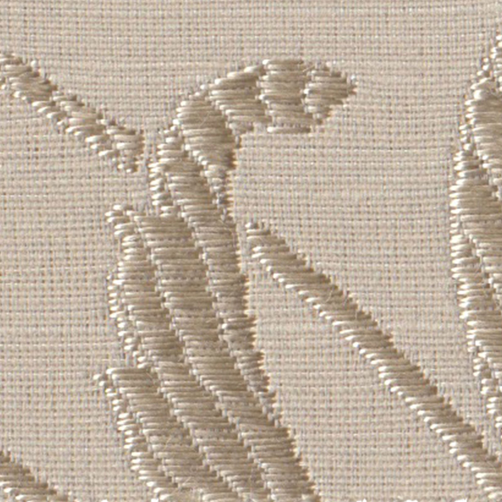 D-8117 mila schonの画像です