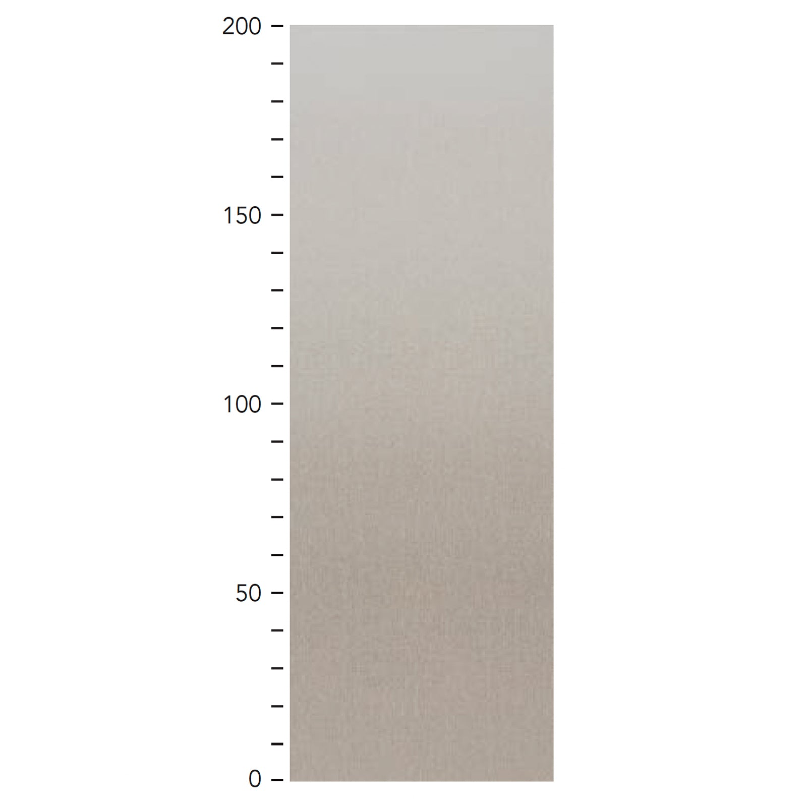 カリーナの画像です