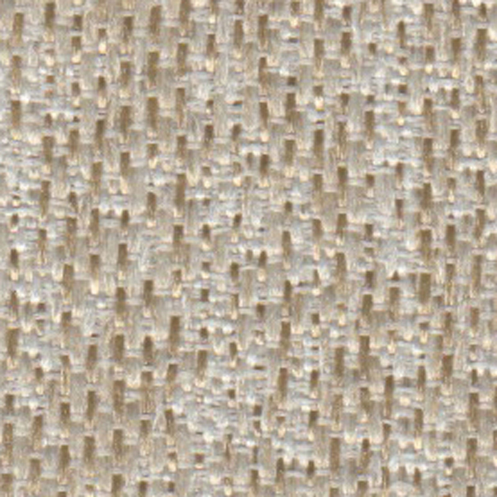 カリーナの画像です