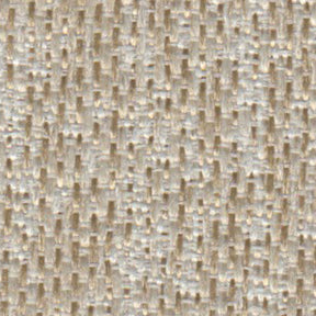 カリーナの画像です