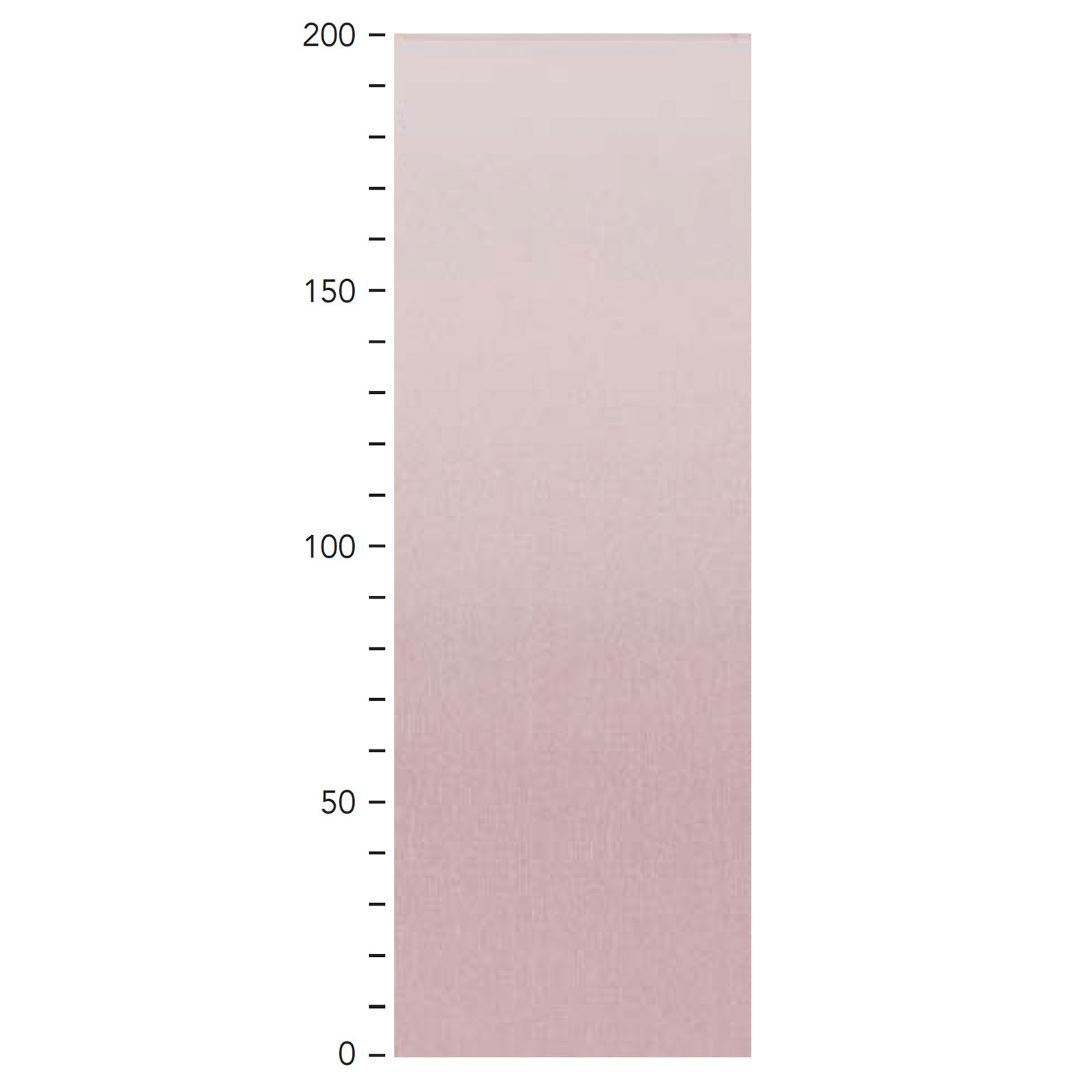 カリーナの画像です