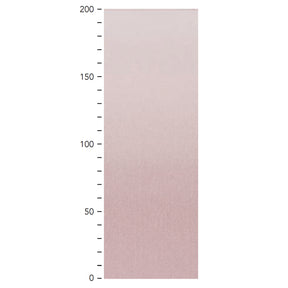 カリーナの画像です