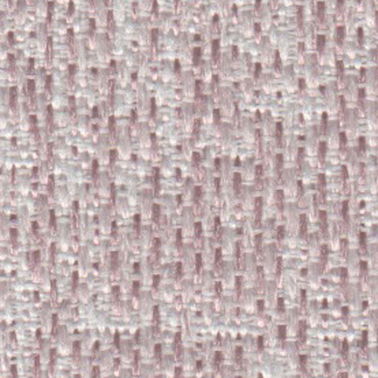 カリーナの画像です