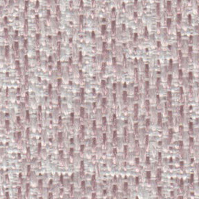 カリーナの画像です