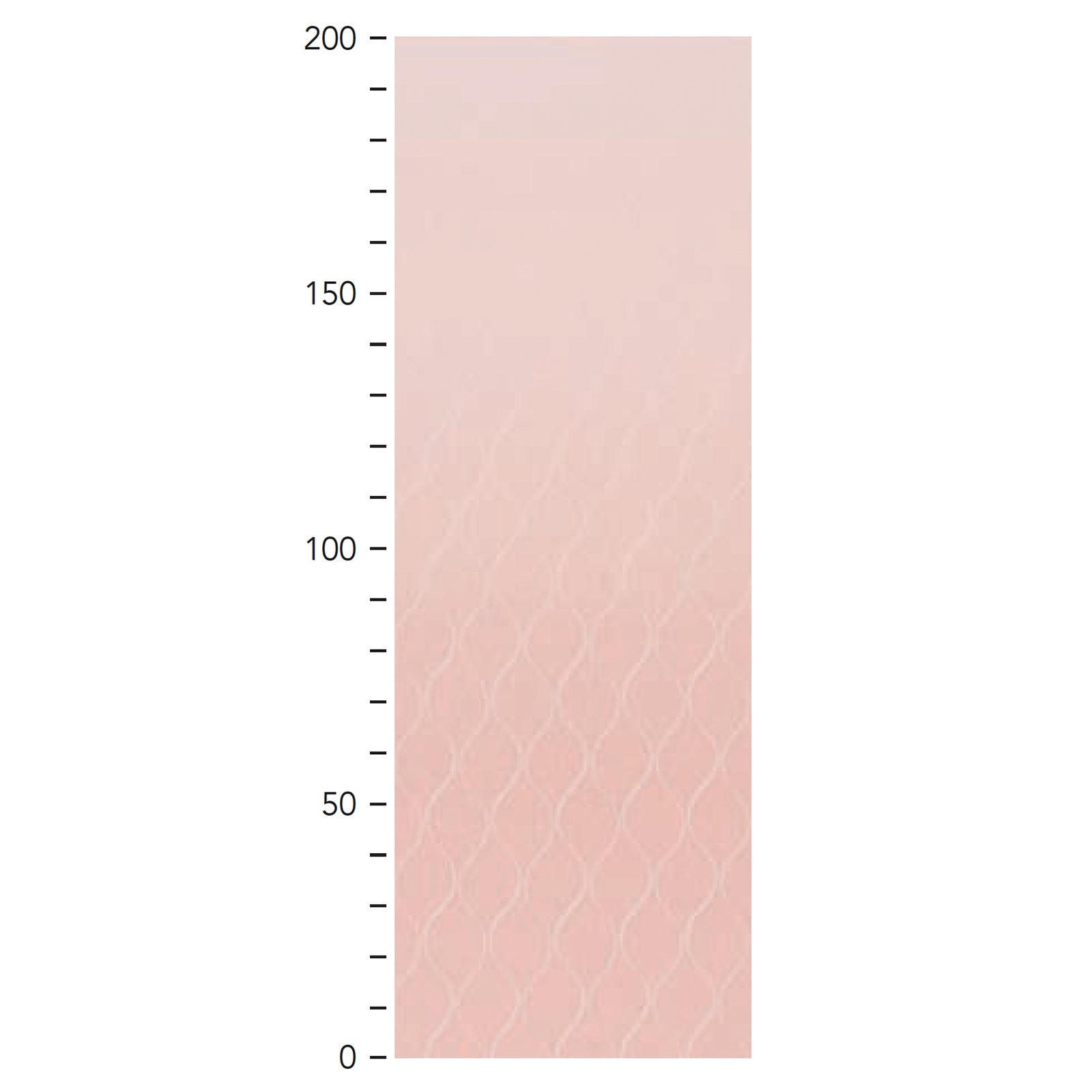 レイシルの画像です