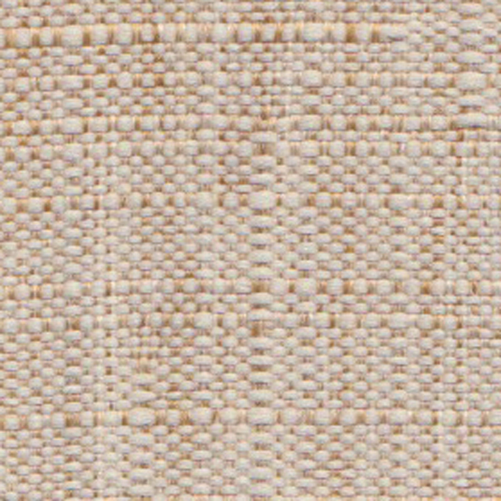 シエラタン2の画像です