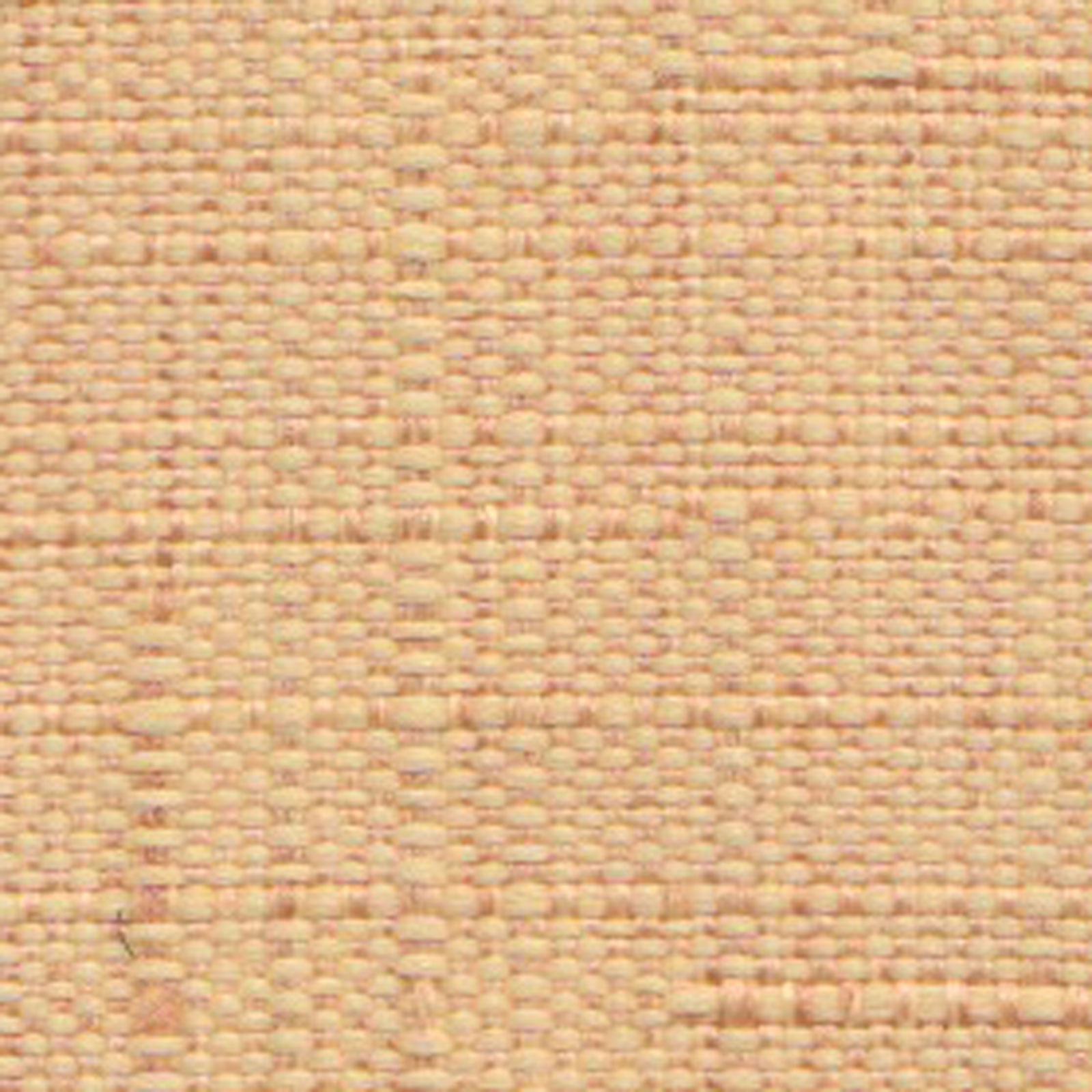 シエラタン2の画像です
