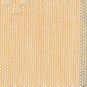 トーラス3の画像です