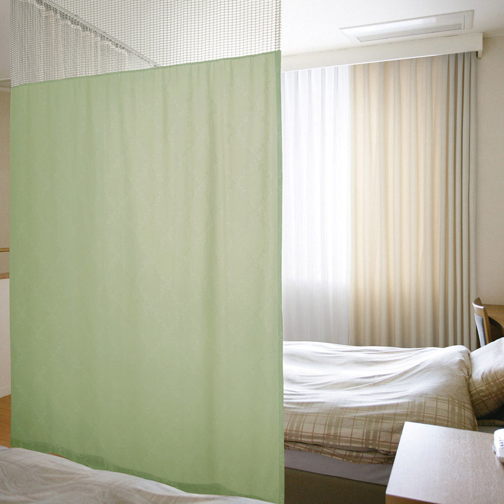 オリーブの画像です