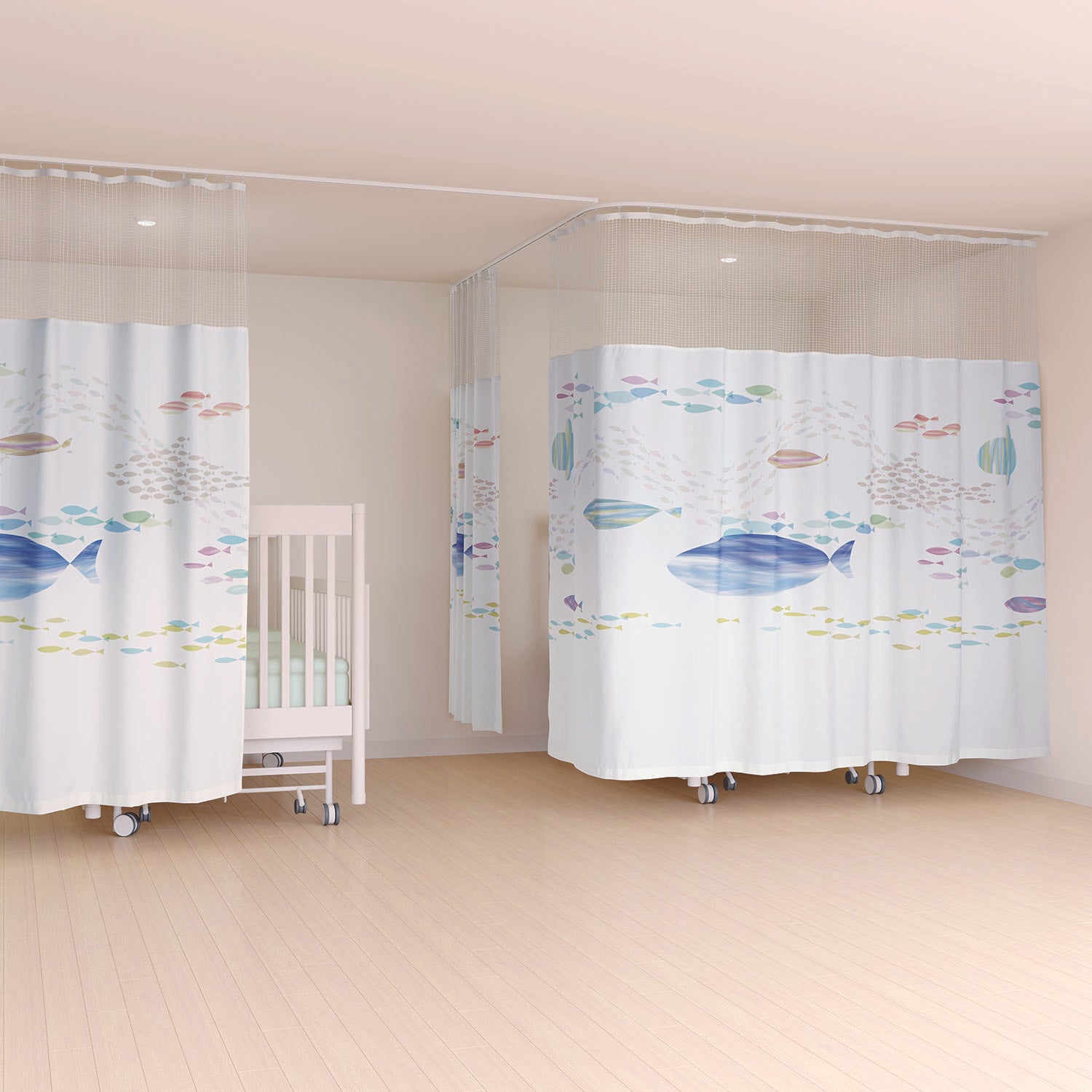 ﾗｺﾝﾃの画像です