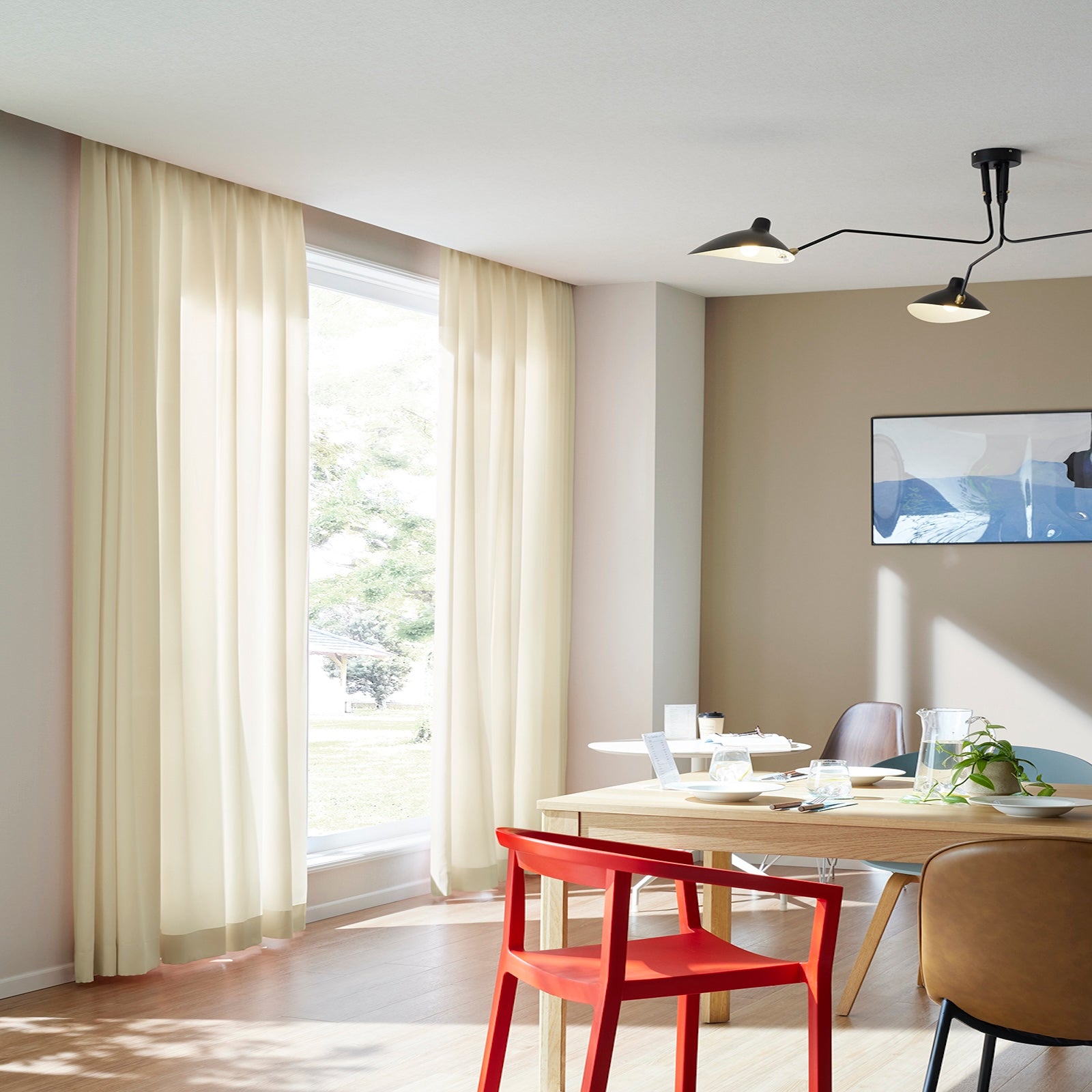 エコティナの画像です