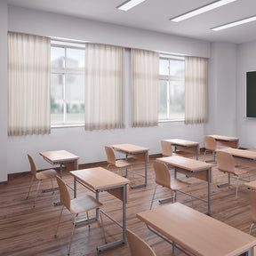 エコティナの画像です