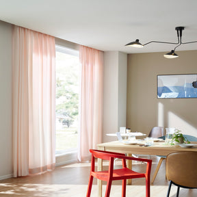 エコティナの画像です