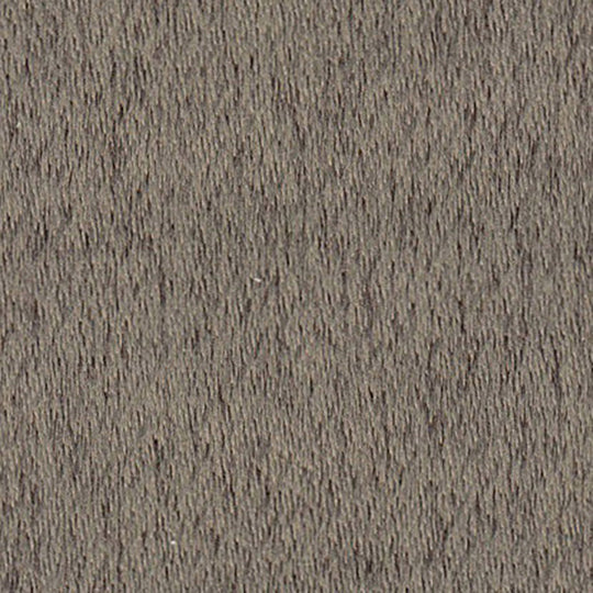 E-7462(シャウラ)